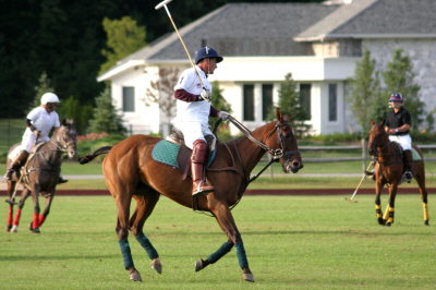 Frank Cappuccio